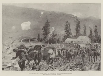 The Transvaal War, Ox Team During the Retirement on Ladysmith After Lombard